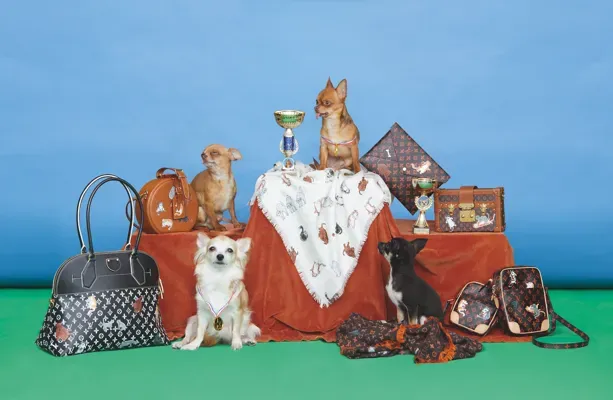 Grace Coddington Travel Collection With Louis Vuitton