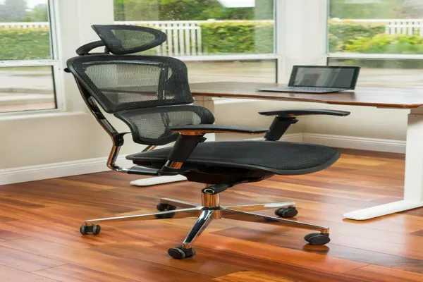 Lumbar Support Office Chair: Essential for Comfort?