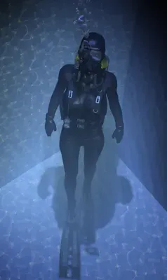 Scuba Thief Steals Thousands from Disney Restaurant Heist